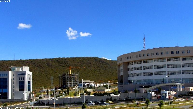 torrent下载磁力链接极速解析界面展示